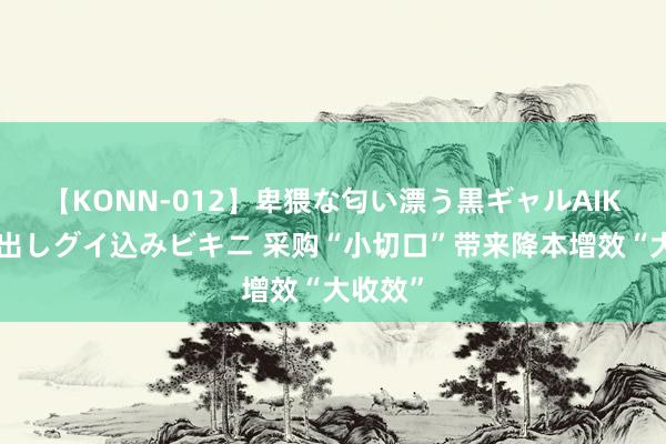 【KONN-012】卑猥な匂い漂う黒ギャルAIKAの中出しグイ込みビキニ 采购“小切口”带来降本增效“大收效”