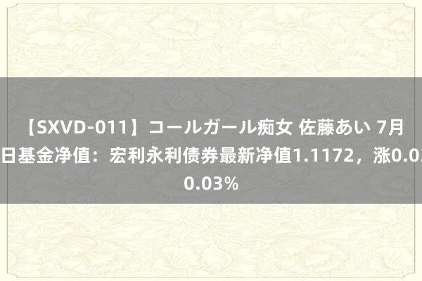 【SXVD-011】コールガール痴女 佐藤あい 7月26日基金净值：宏利永利债券最新净值1.1172，涨0.03%