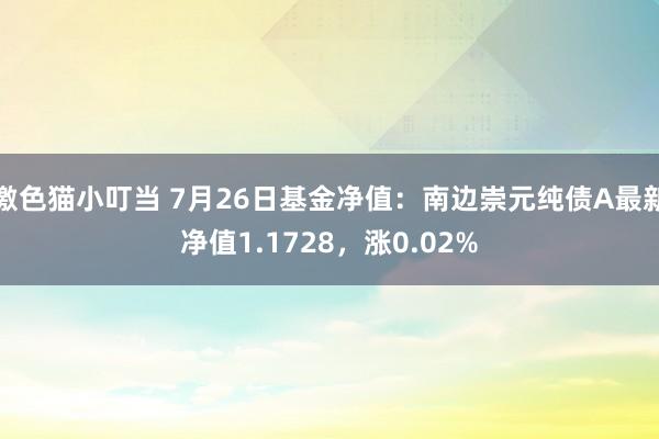 激色猫小叮当 7月26日基金净值：南边崇元纯债A最新净值1.1728，涨0.02%