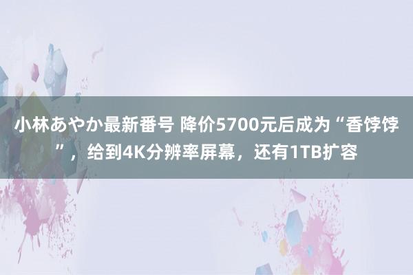 小林あやか最新番号 降价5700元后成为“香饽饽”，给到4K分辨率屏幕，还有1TB扩容