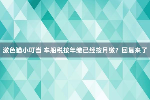 激色猫小叮当 车船税按年缴已经按月缴？回复来了