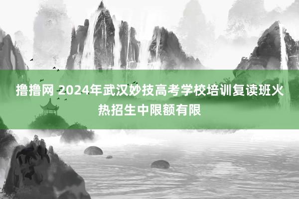 撸撸网 2024年武汉妙技高考学校培训复读班火热招生中限额有限