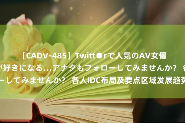 【CADV-485】Twitt●rで人気のAV女優 SNSでますますAV女優が好きになる…アナタもフォローしてみませんか？ 各人IDC布局及要点区域发展趋势分析