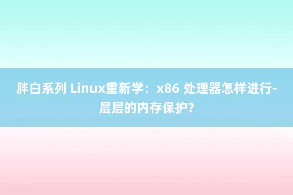 胖白系列 Linux重新学：x86 处理器怎样进行-层层的内存保护？