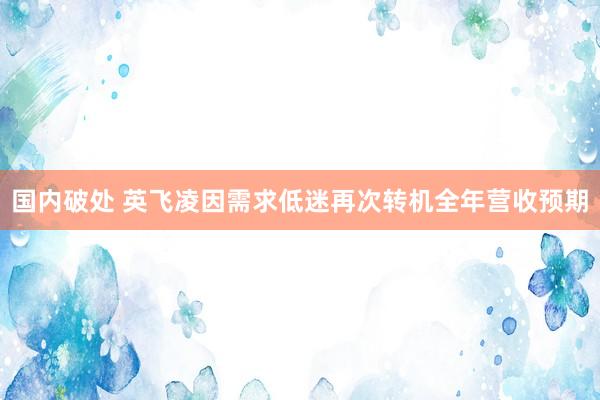 国内破处 英飞凌因需求低迷再次转机全年营收预期