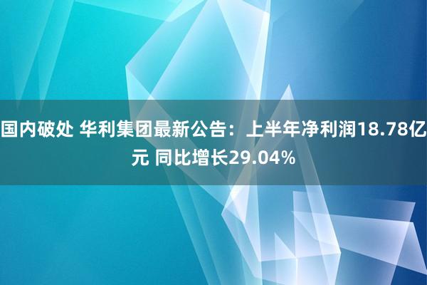 国内破处 华利集团最新公告：上半年净利润18.78亿元 同比增长29.04%