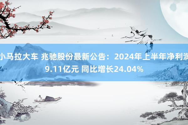 小马拉大车 兆驰股份最新公告：2024年上半年净利润9.11亿元 同比增长24.04%