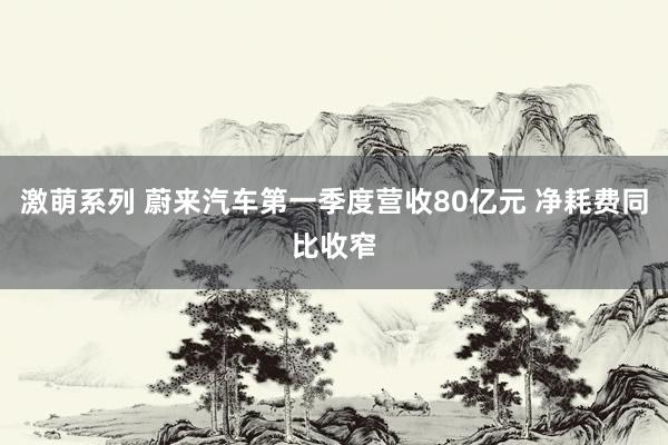 激萌系列 蔚来汽车第一季度营收80亿元 净耗费同比收窄