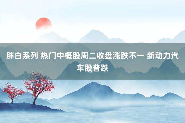 胖白系列 热门中概股周二收盘涨跌不一 新动力汽车股普跌