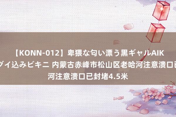 【KONN-012】卑猥な匂い漂う黒ギャルAIKAの中出しグイ込みビキニ 内蒙古赤峰市松山区老哈河注意溃口已封堵4.5米