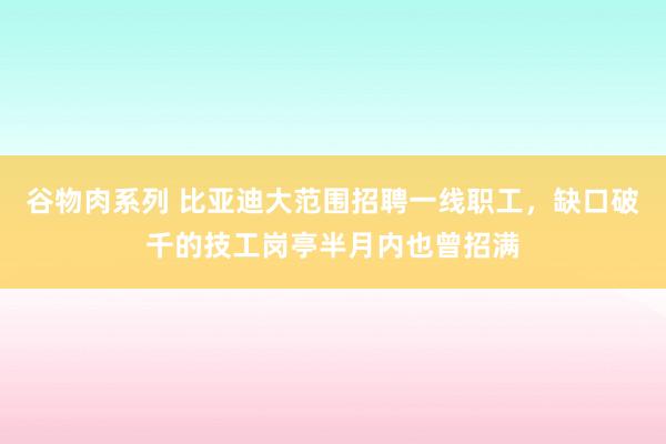 谷物肉系列 比亚迪大范围招聘一线职工，缺口破千的技工岗亭半月内也曾招满