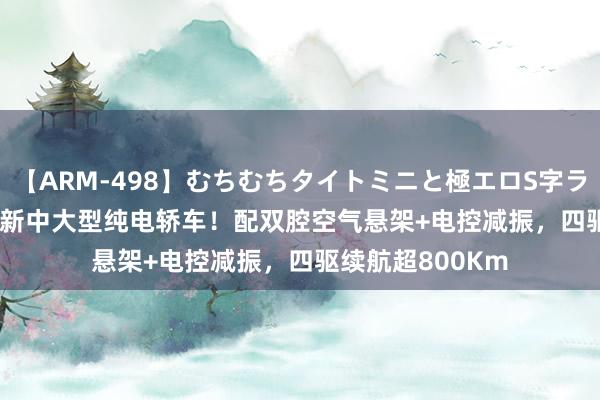 【ARM-498】むちむちタイトミニと極エロS字ライン 2 AIKA 全新中大型纯电轿车！配双腔空气悬架+电控减振，四驱续航超800Km