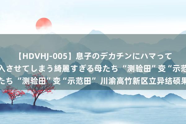 【HDVHJ-005】息子のデカチンにハマってしまい毎日のように挿入させてしまう綺麗すぎる母たち “测验田”变“示范田” 川渝高竹新区立异结硕果