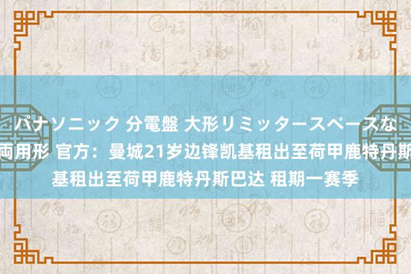 パナソニック 分電盤 大形リミッタースペースなし 露出・半埋込両用形 官方：曼城21岁边锋凯基租出至荷甲鹿特丹斯巴达 租期一赛季