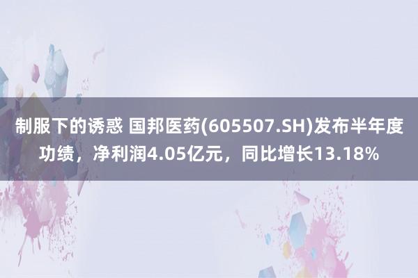 制服下的诱惑 国邦医药(605507.SH)发布半年度功绩，净利润4.05亿元，同比增长13.18%