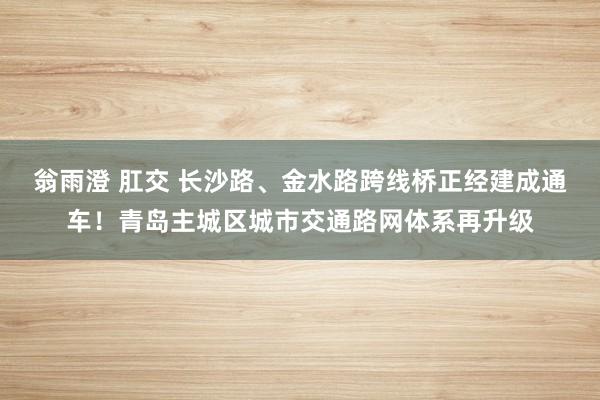 翁雨澄 肛交 长沙路、金水路跨线桥正经建成通车！青岛主城区城市交通路网体系再升级