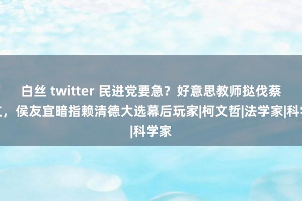 白丝 twitter 民进党要急？好意思教师挞伐蔡英文，侯友宜暗指赖清德大选幕后玩家|柯文哲|法学家|科学家