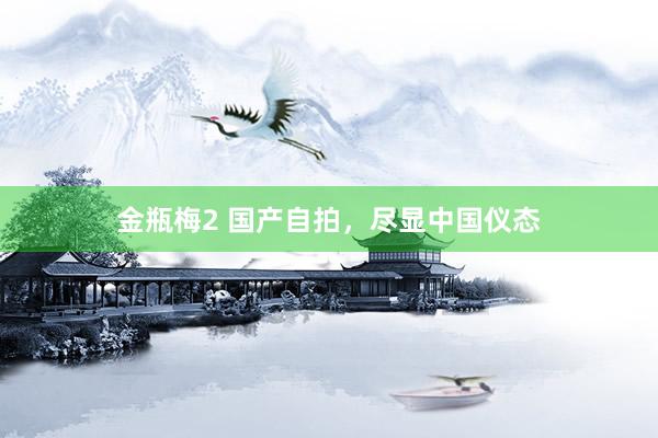 金瓶梅2 国产自拍，尽显中国仪态